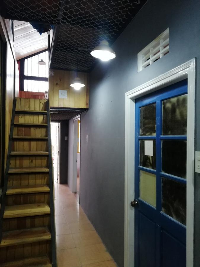 Grey Monkey Dalat Hostel Ngoại thất bức ảnh