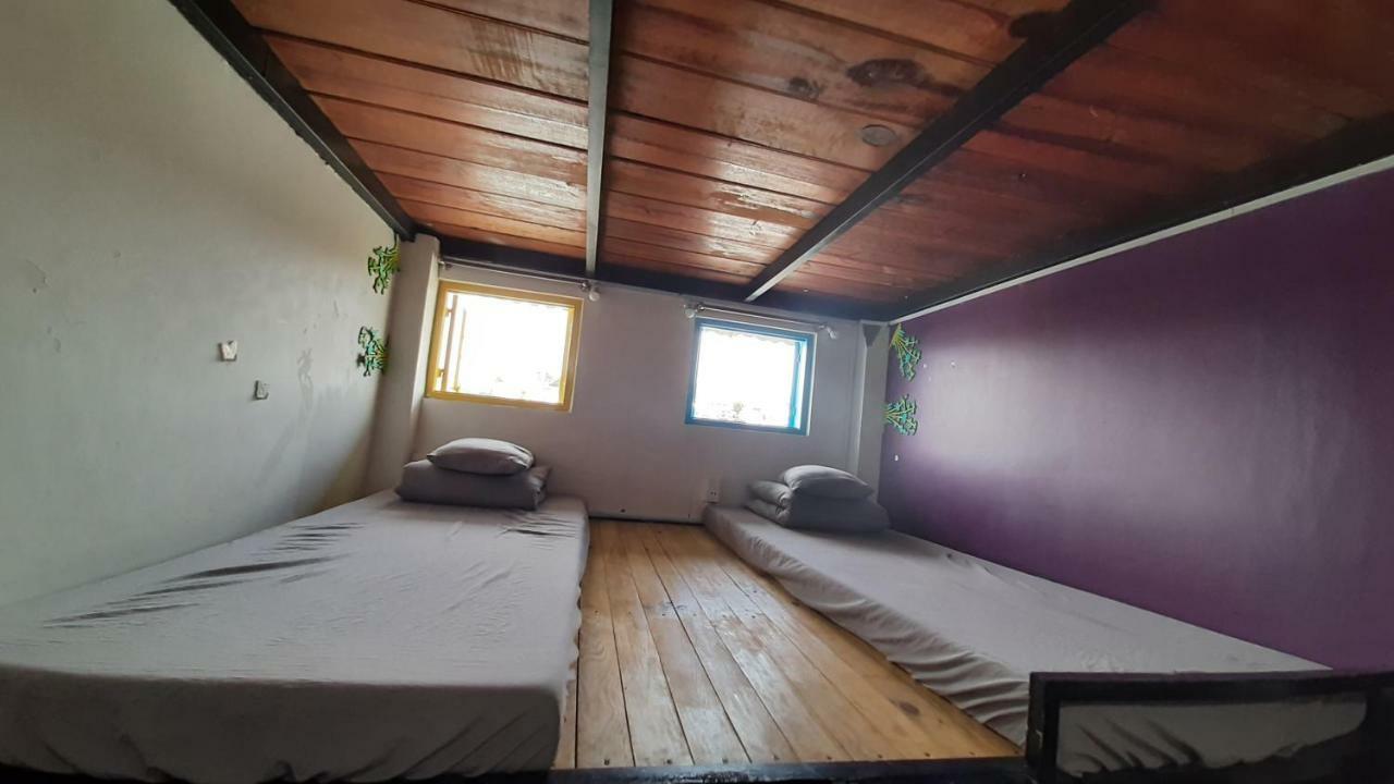 Grey Monkey Dalat Hostel Ngoại thất bức ảnh